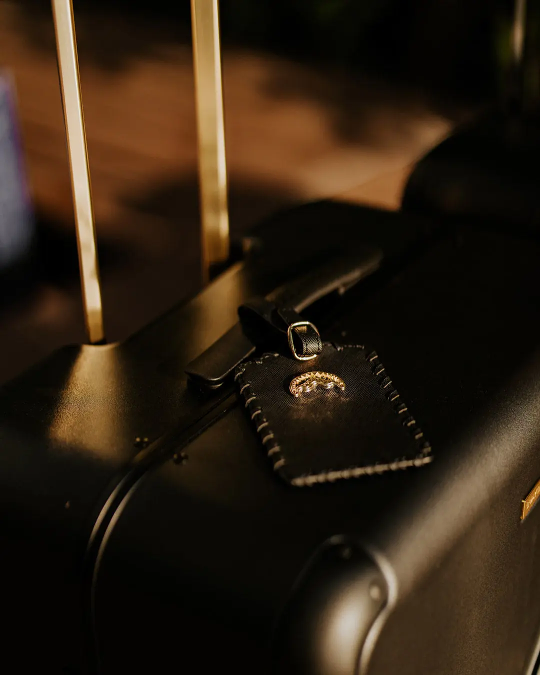 REALITY CHECK SHARKITECTURE CARRY-ON JETBLACK LUGGAGE (GOLD HARDWARE) - Image 18