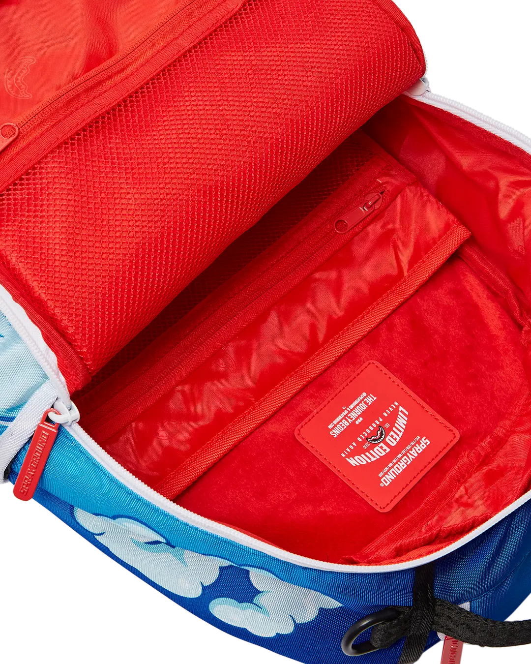 MONEY DREAMS BACKPACK (DLXR) - Image 11