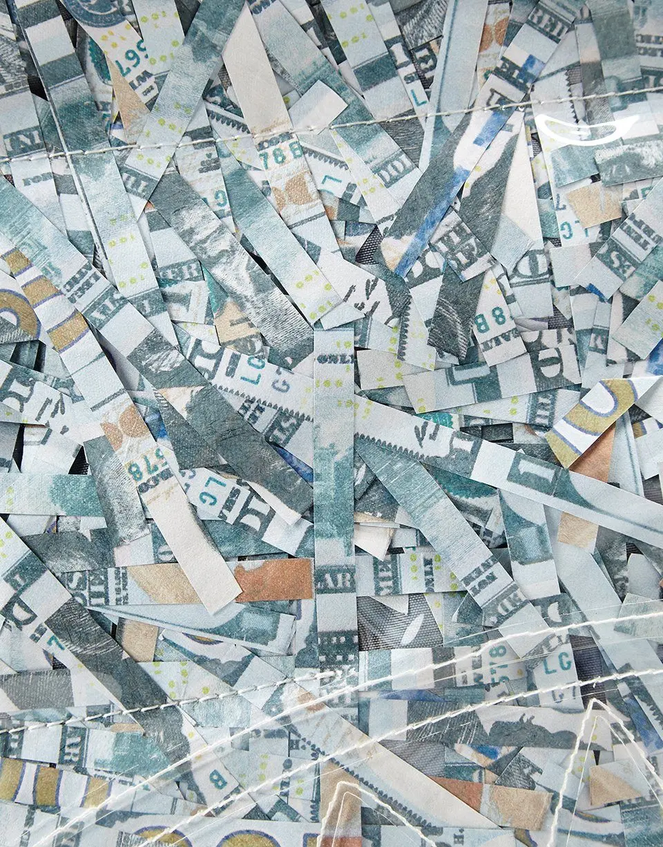 COUNTERFEIT (VINYL SHREDDED MONEY) - Image 8