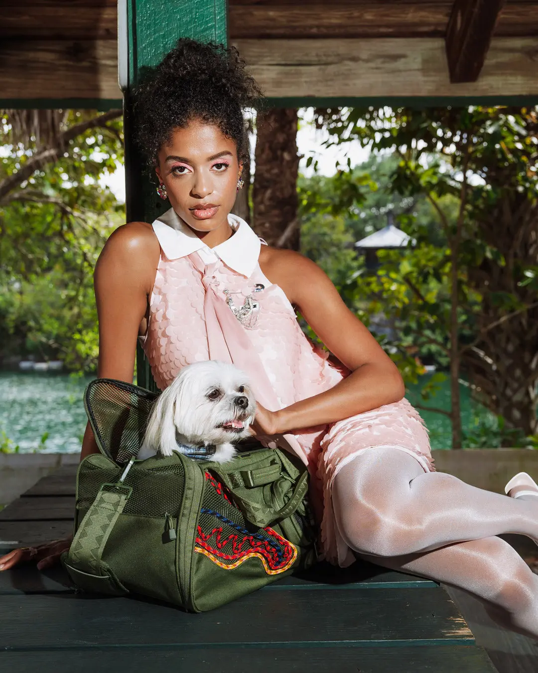 WON'T STOP TILL THE TOP PET CARRIER - Image 4