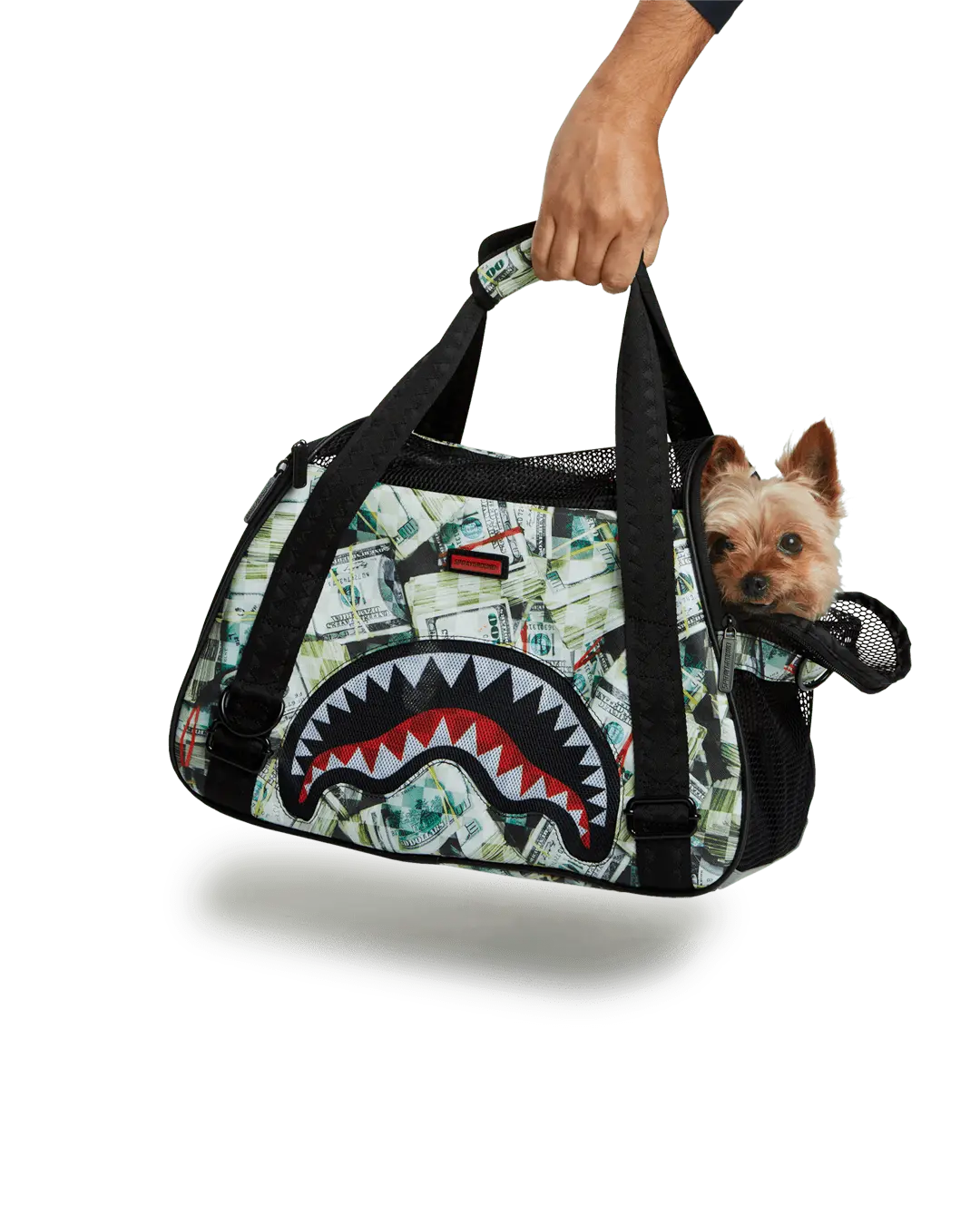 MAMA I MADE IT PET CARRIER - Image 8
