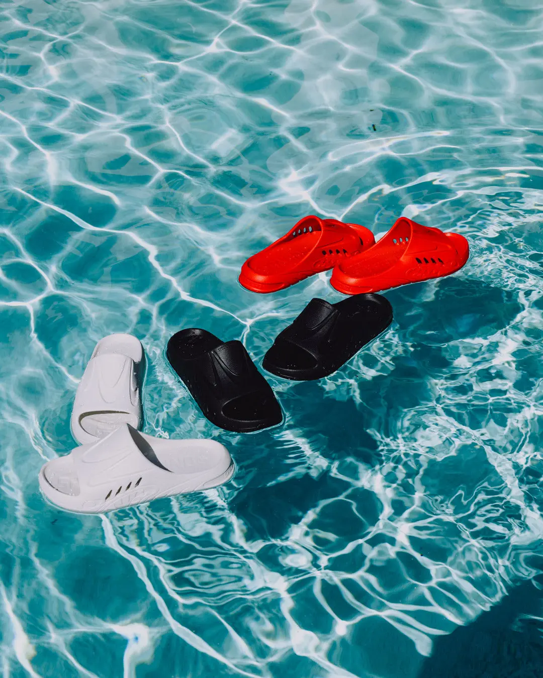 SHARK SLIDE (BLK) - Image 8