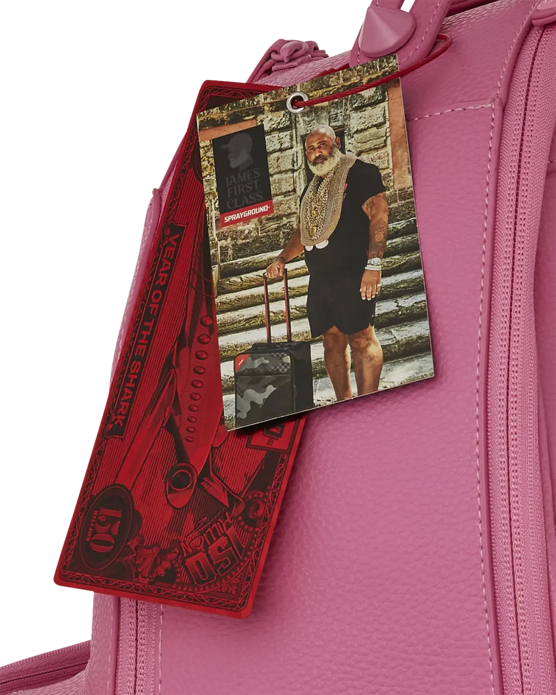 JAMES FIRST CLASS FIRST LADY MINI CHATEAU BACKPACK - Image 13