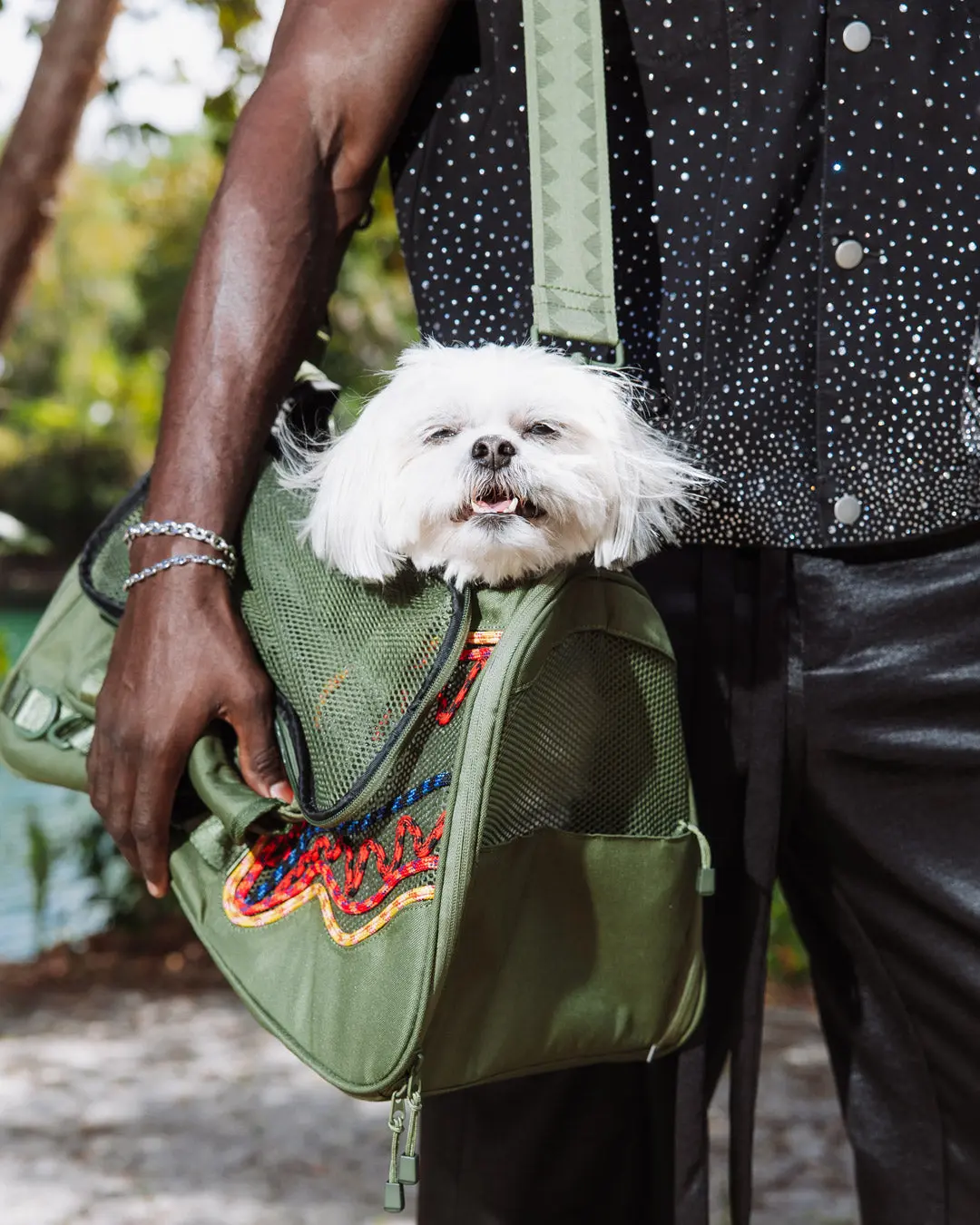 WON'T STOP TILL THE TOP PET CARRIER - Image 10