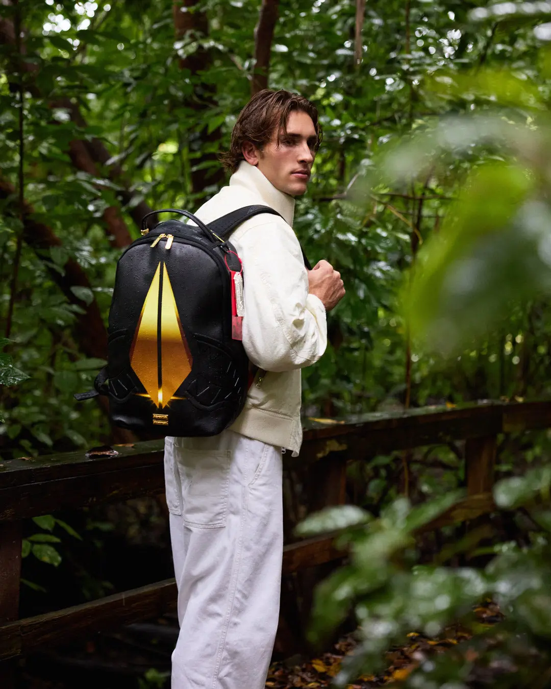 FOUNDATION THE VAULT ON TERMINUS BACKPACK - Image 2