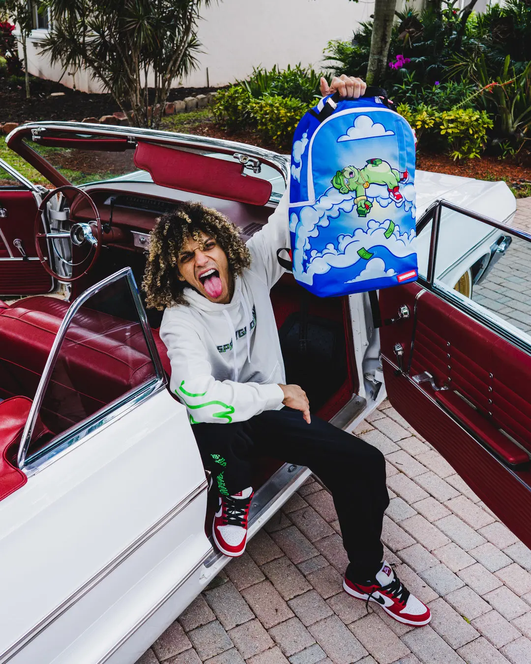 MONEY DREAMS BACKPACK (DLXR) - Image 4