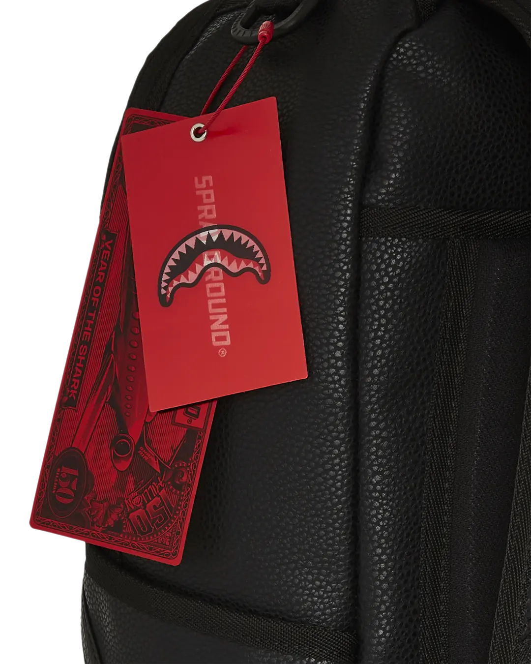SHARK CENTRAL GILDED BITE BACKPACK - Image 13
